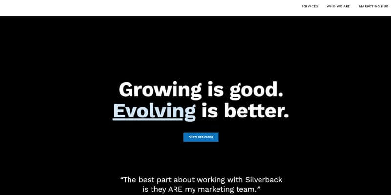 Engage coders: Silverback